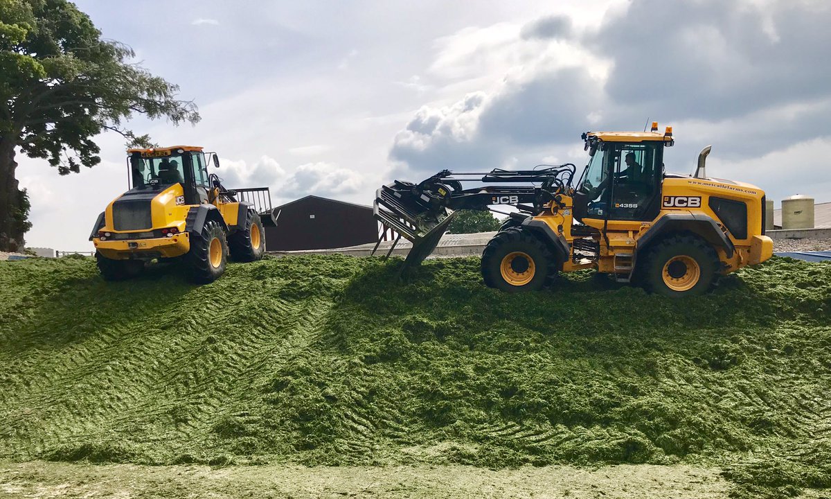 bambershort's tweet photo. First cut silage analysis DM35.8 ME12.1 Protein20.7  PH4.4  38.5ltrs Herd average @PhilipMetcalfe1 @ecosyl_ @cuttoclamp #ecosyl100 #attentiontodetail #teamwork #rocketfuel #multicut https://t.co/D0rnqWnz0b