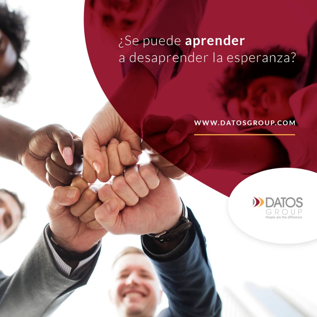 DatosGroup tweet media