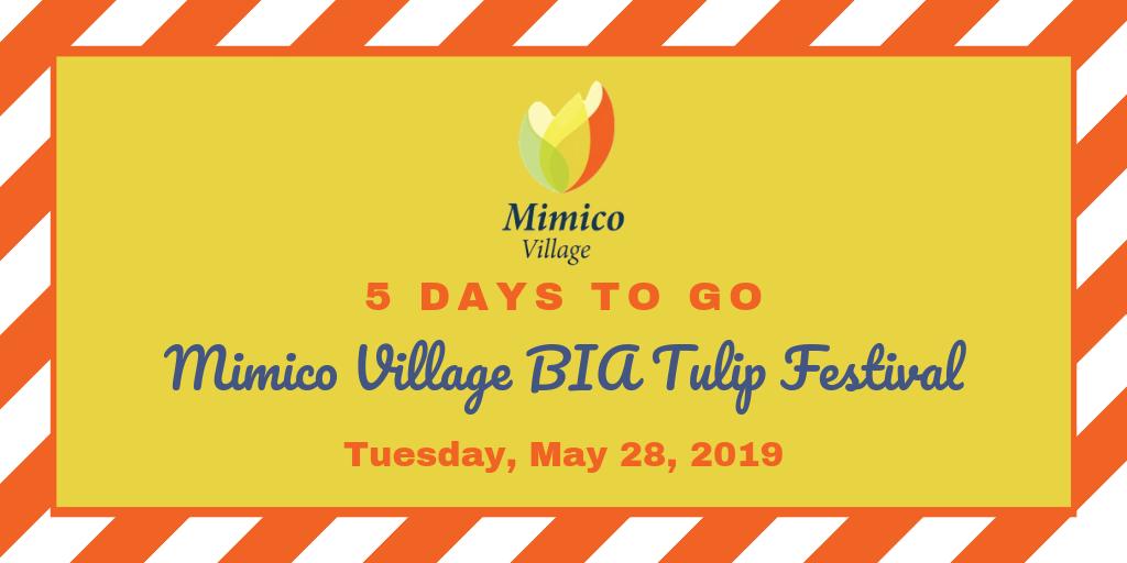 5 days to go
#MimicoVillage #mimicotulipfestival