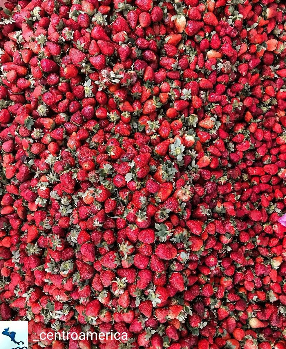 continental_ng's tweet photo. #DidYouKnow Strawberries are a member of the rose family? https://t.co/WGC8C35zC9