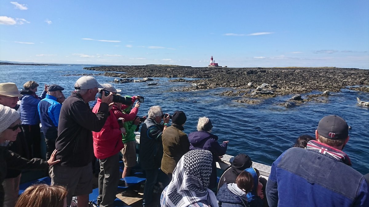 Good show of Seals this afternoon over low tide.
Lovely afternoon out on the water.