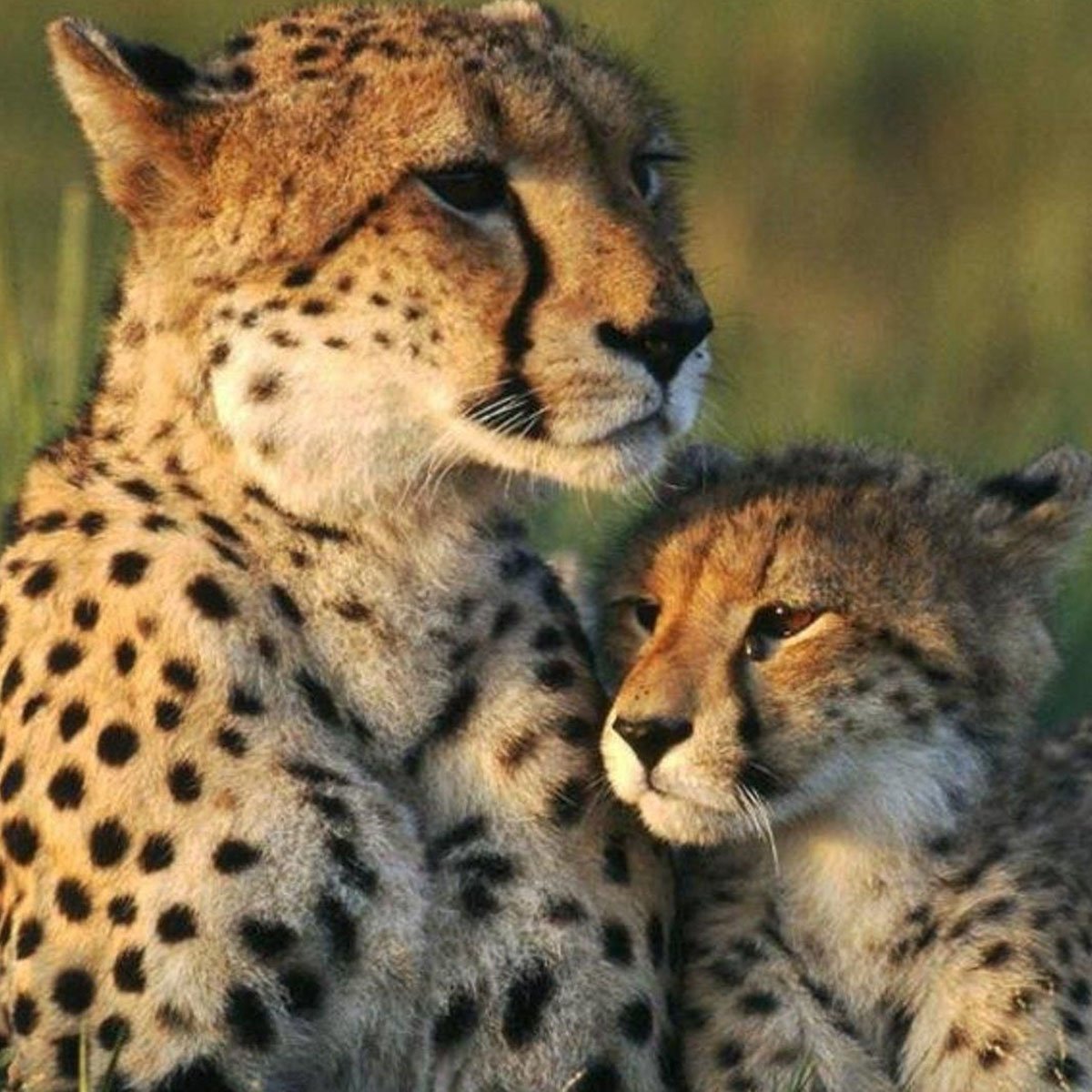 GoHop_ie's tweet photo. Don't miss our Huge Namibia #Competition !!  Our Biggest Holiday #Prize of 2019

😍 Win A Dream Trip Of A Lifetime to Namibia for 2 people (worth over €10,000) with thanks to Obeo Travel &amp; British Airways 😍

Enter Here ➡️ (https://t.co/zqMqA1AIOD)

ROI  #win https://t.co/n26zyEcTN5