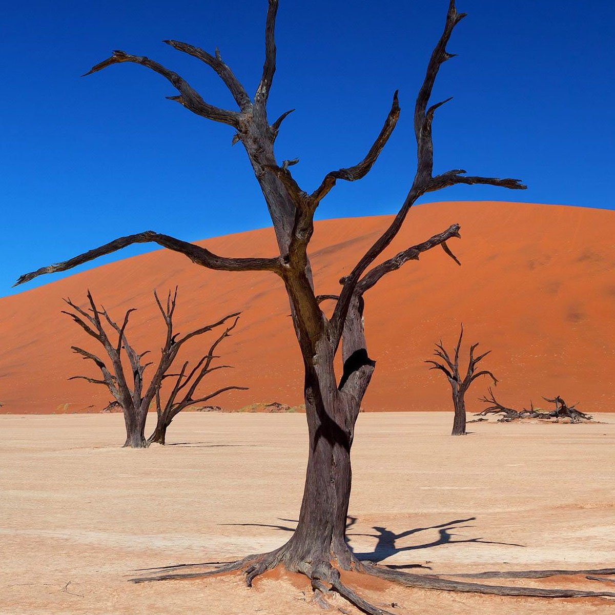 GoHop_ie's tweet photo. Don't miss our Huge Namibia #Competition !!  Our Biggest Holiday #Prize of 2019

😍 Win A Dream Trip Of A Lifetime to Namibia for 2 people (worth over €10,000) with thanks to Obeo Travel &amp; British Airways 😍

Enter Here ➡️ (https://t.co/zqMqA1AIOD)

ROI  #win https://t.co/n26zyEcTN5