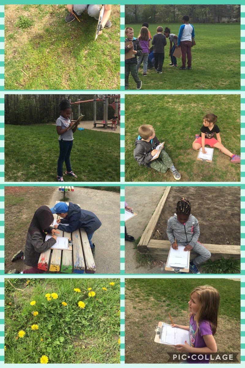 MrsFaloonPLC's tweet photo. We spent some time outdoors comparing and contrasting different plants we found in our school yard! #ocsbspeced #sjandpl https://t.co/TUz0oJrmQw