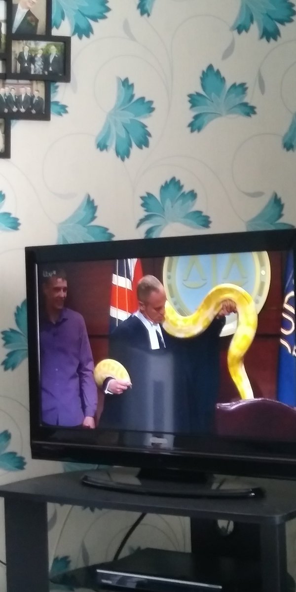 SionedTwose's tweet photo. I can't believe there is a massive snake on @JudgeRinderTV shoulders in court! #notsomethingyouseeeveryday #snake https://t.co/aV4oBEj3Vr