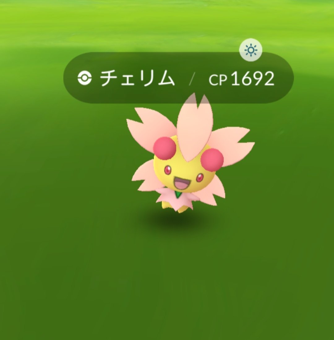 チェリム Twitter Search