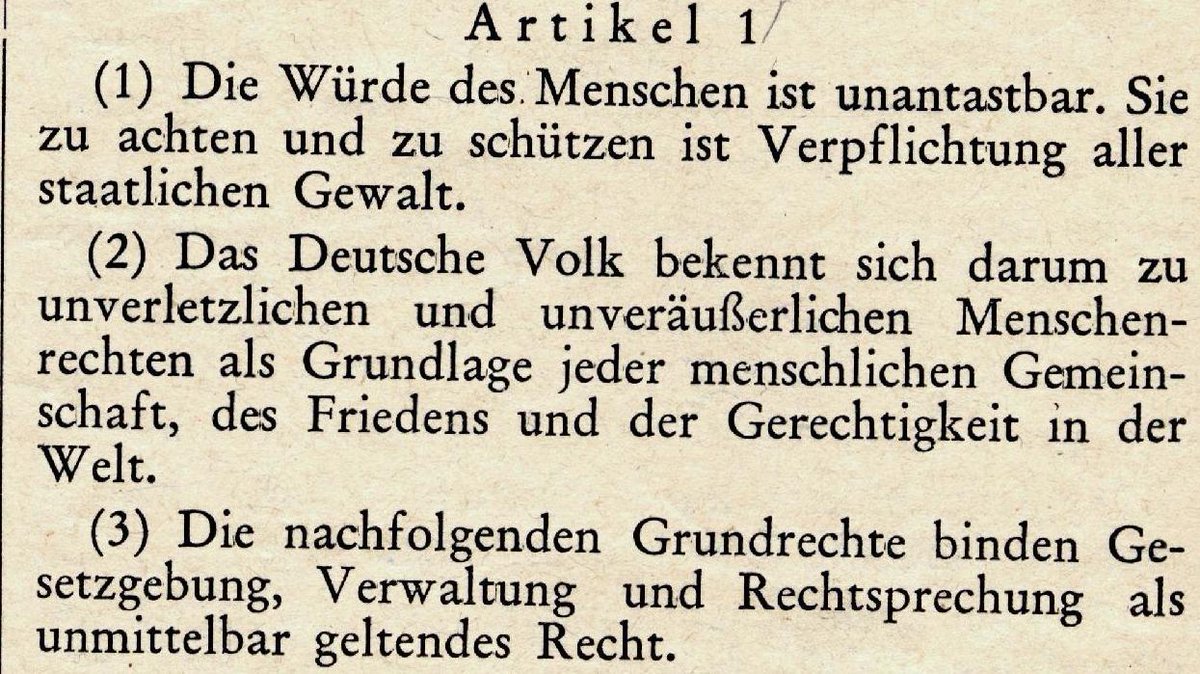 Claudia Sternberg tweet media