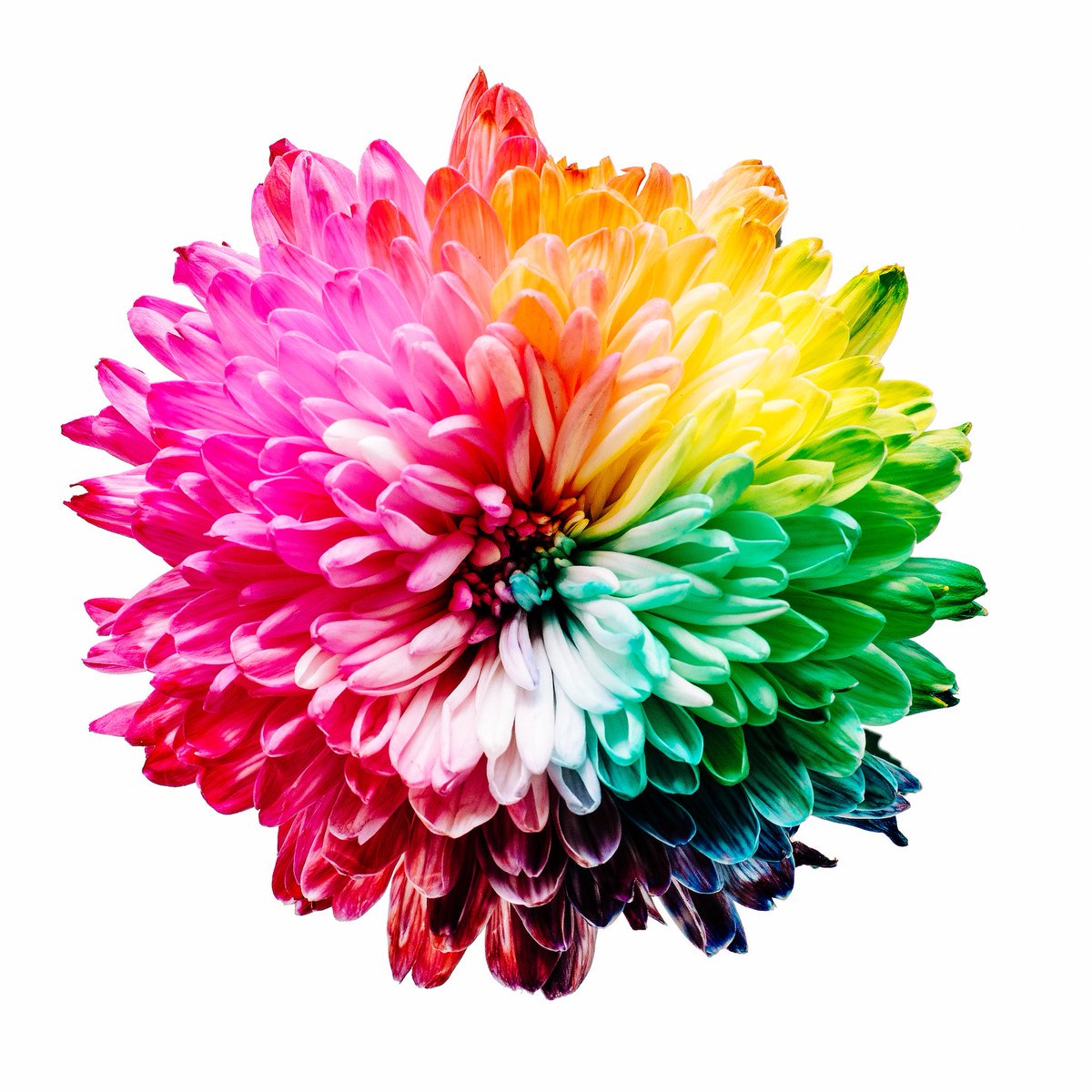 restoretocalm's tweet photo. Introducing: The World's Most Relaxing Colour And How To Use It In Your Bedroom @mindbodygreen https://t.co/zmXJAIqZEL #ColourTherapy #ColorTherapy #Relax https://t.co/jhjeYnwz7i