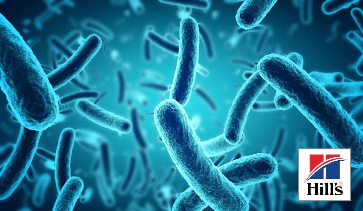 Fun fact- Did you know that there are more microbes in your dogs GI tract than body cells? There are billions of microbes in his GI tract, even more than the number of cells in his whole body.  Pre-register for the Hill's Global Symposium Livestream at bit.ly/2Vswd3M