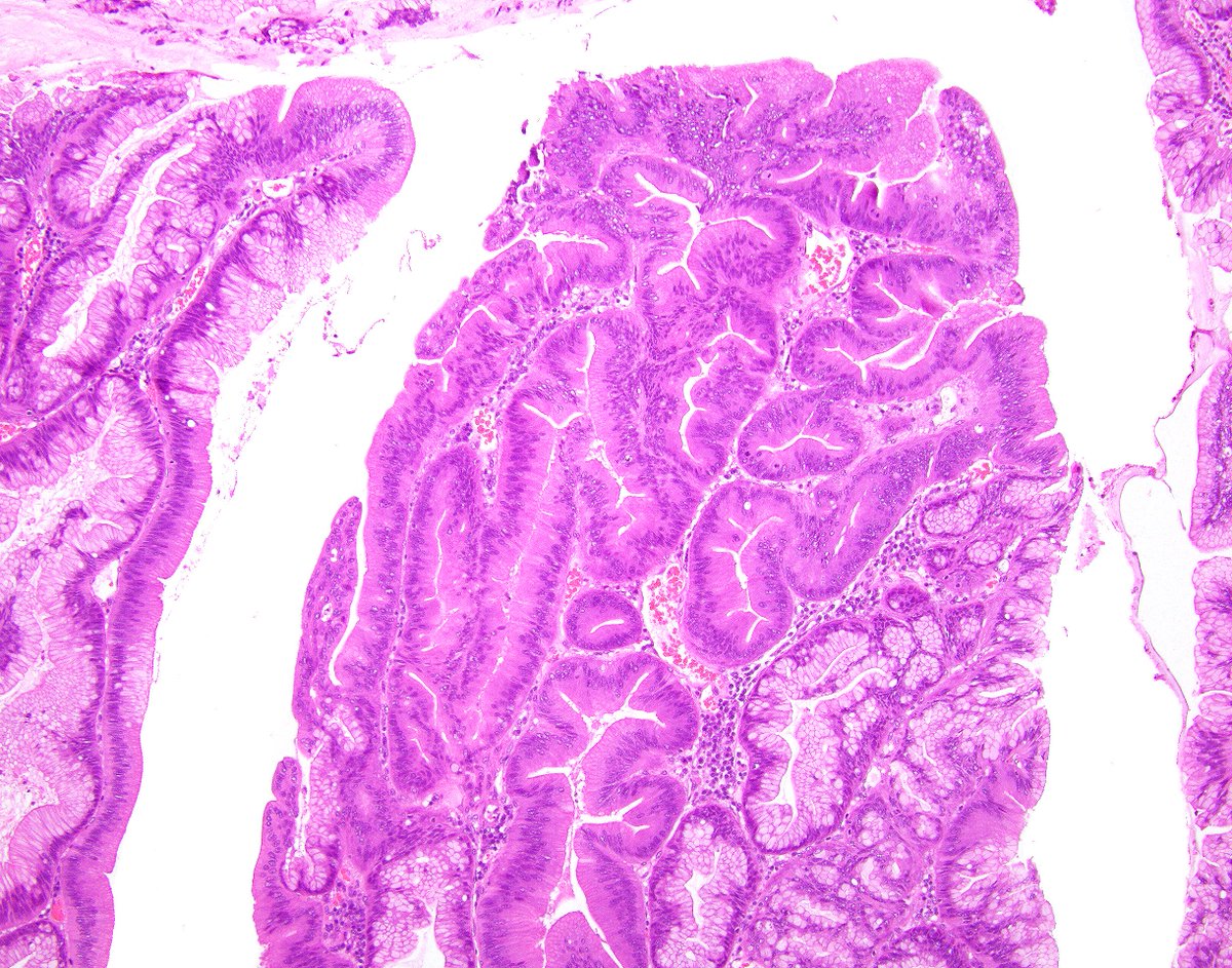 science_press tweet picture