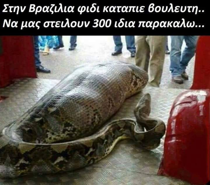 damossalos's tweet photo. https://t.co/T6bNyUfhSn