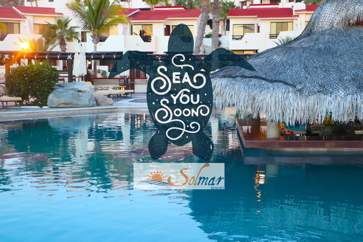 SolmarResort's tweet photo. Today is #TurtlesDay !! 🐢 Come to #SolmarResort and find out about this beautiful activity. 

-Season: From November to February

 #nature #turtlesday #seayousoon #loscabos #solmar #water https://t.co/fE3hXqBlMo