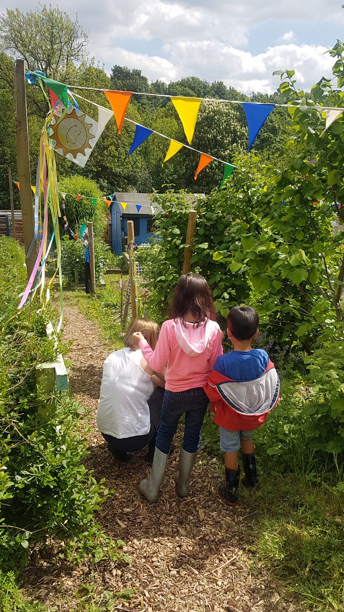 Firth Park Community Allotment tweet media
