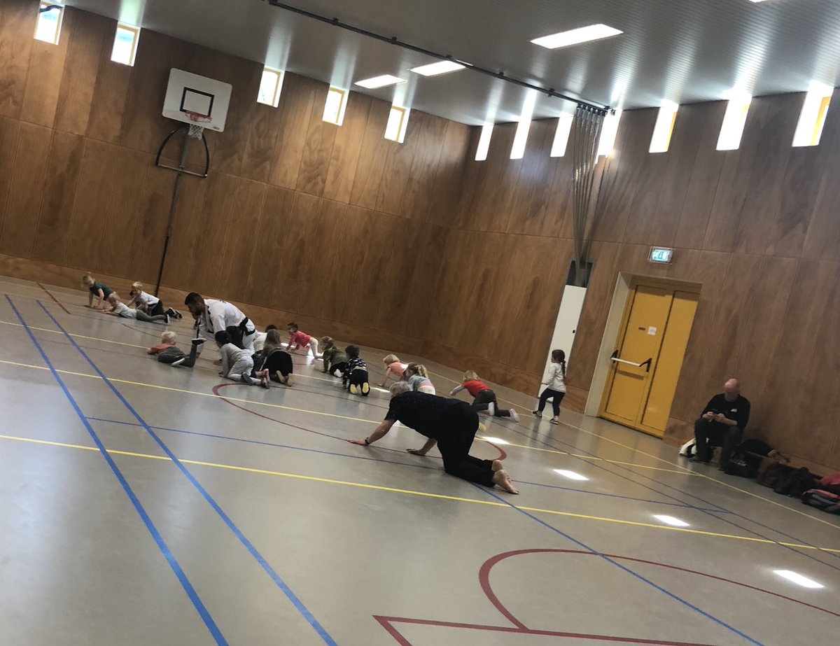 Sushma Bhatti Dock tweet media