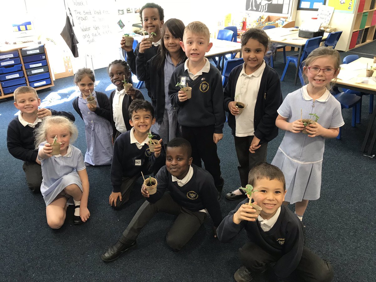 StPaulsBolton's tweet photo. Year 1 are so excited to take home their bean plants and sunflowers. Theyโre going to give the plenty of water and sunlight and are looking forward to watching them grow even more at home ๐ป๐ฑ #growingplants #year1lovescience https://t.co/SgmPS77dpK
