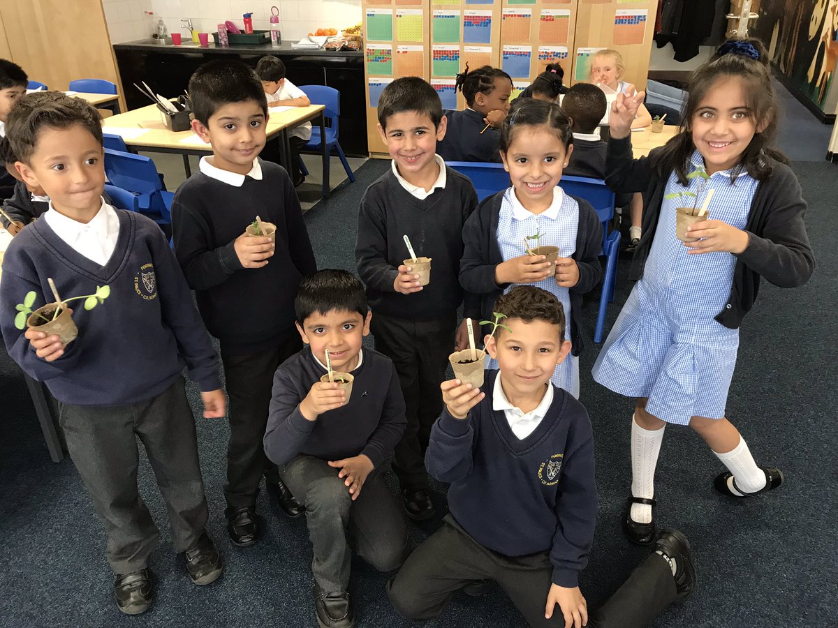 StPaulsBolton's tweet photo. Year 1 are so excited to take home their bean plants and sunflowers. Theyโre going to give the plenty of water and sunlight and are looking forward to watching them grow even more at home ๐ป๐ฑ #growingplants #year1lovescience https://t.co/SgmPS77dpK