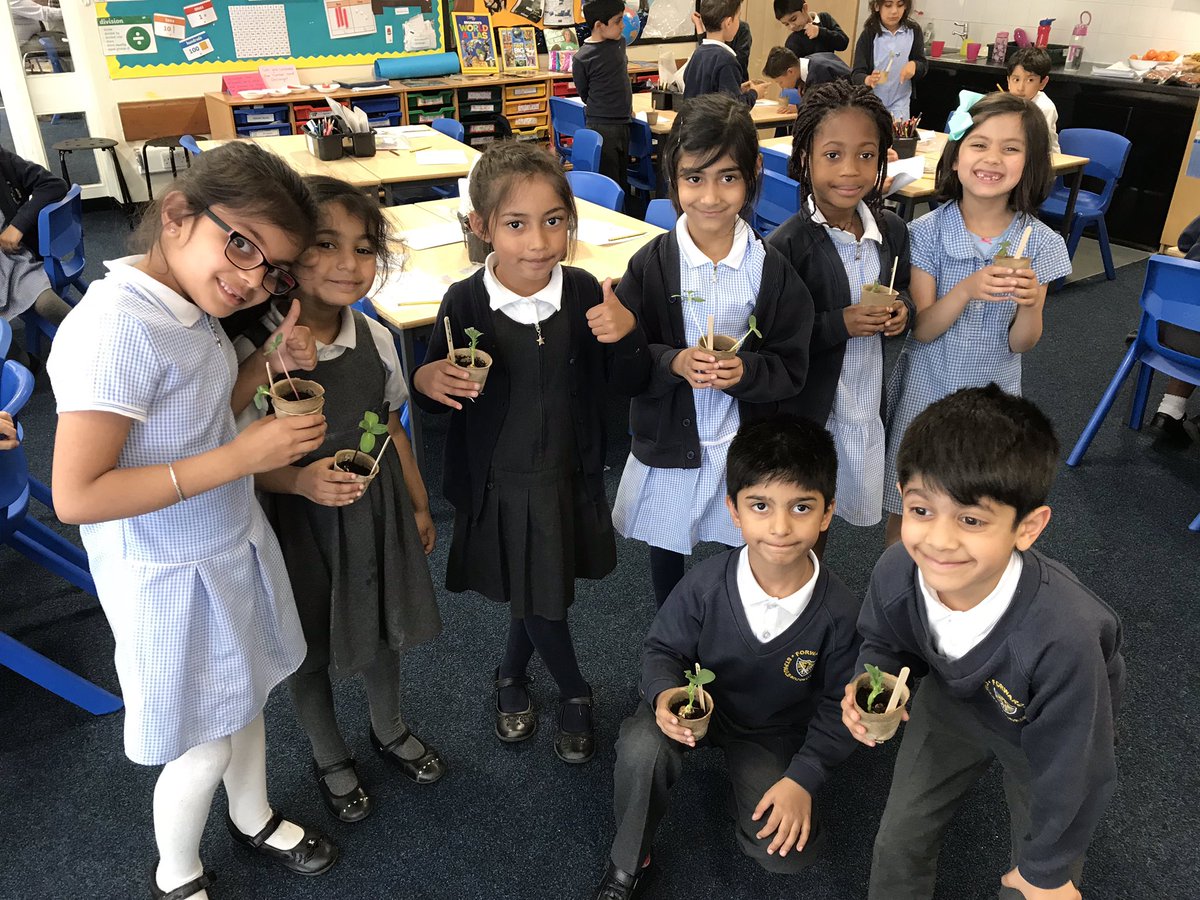 StPaulsBolton's tweet photo. Year 1 are so excited to take home their bean plants and sunflowers. Theyโre going to give the plenty of water and sunlight and are looking forward to watching them grow even more at home ๐ป๐ฑ #growingplants #year1lovescience https://t.co/SgmPS77dpK