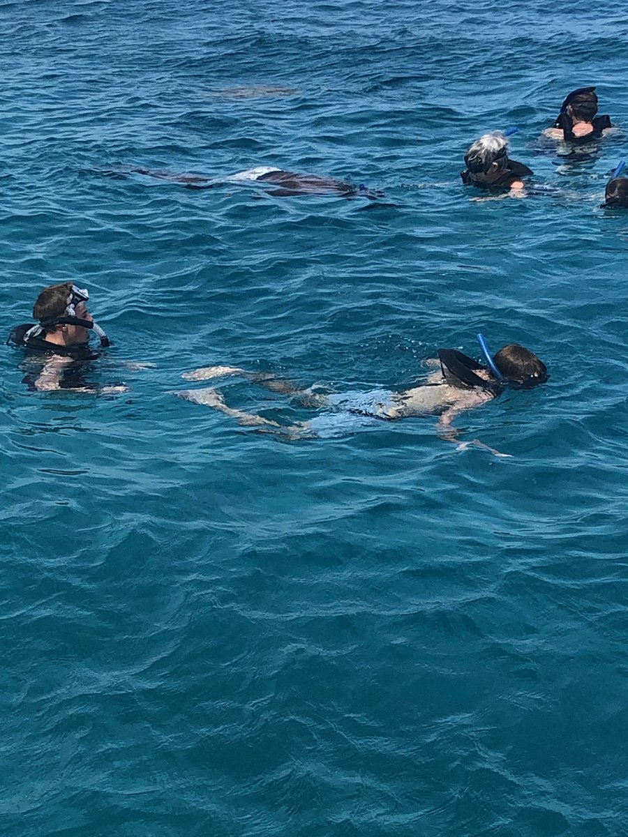strathpipeband's tweet photo. Recommends learning #pipes and #drums! #traveltheworld #chasingturtles #barbados @StrathallanSch https://t.co/FL6QK8qB90