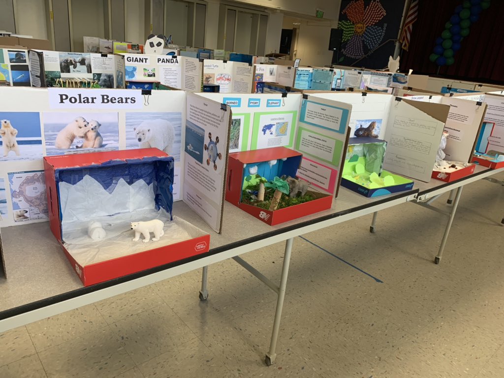 Kristy Chia tweet media