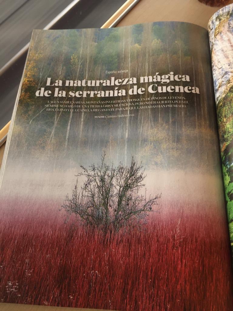Camino Ballesteros tweet media