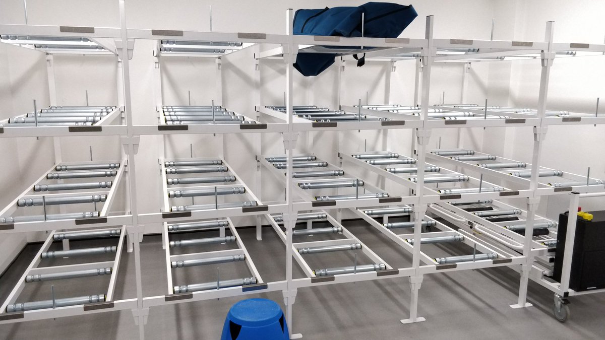 Dan Blood tweet media