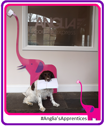 Anglia_couriers's tweet photo. Do you need help moving internal post from one office to another? We specialise in daily post runs to suit your business needs. https://t.co/DHT9WDevVM