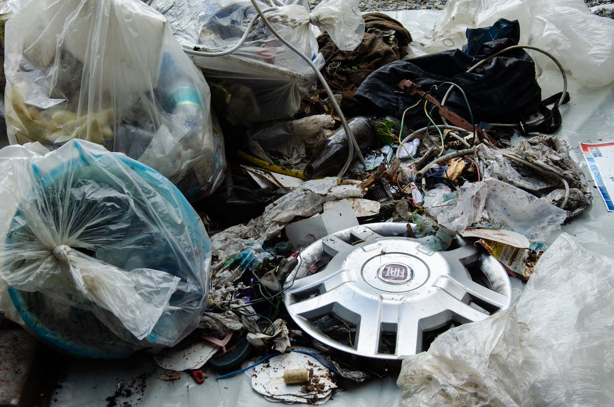 Polito Sustainable tweet media