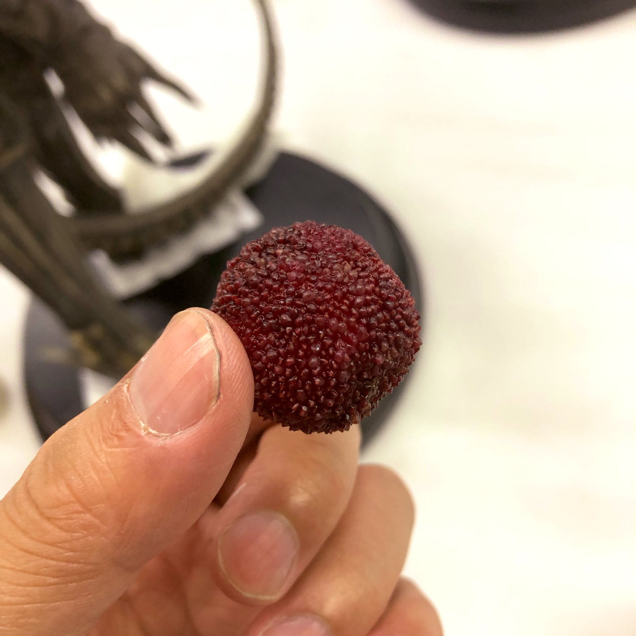 Shun Harada Plissken 工場のおばちゃんから赤成り玉を貰った