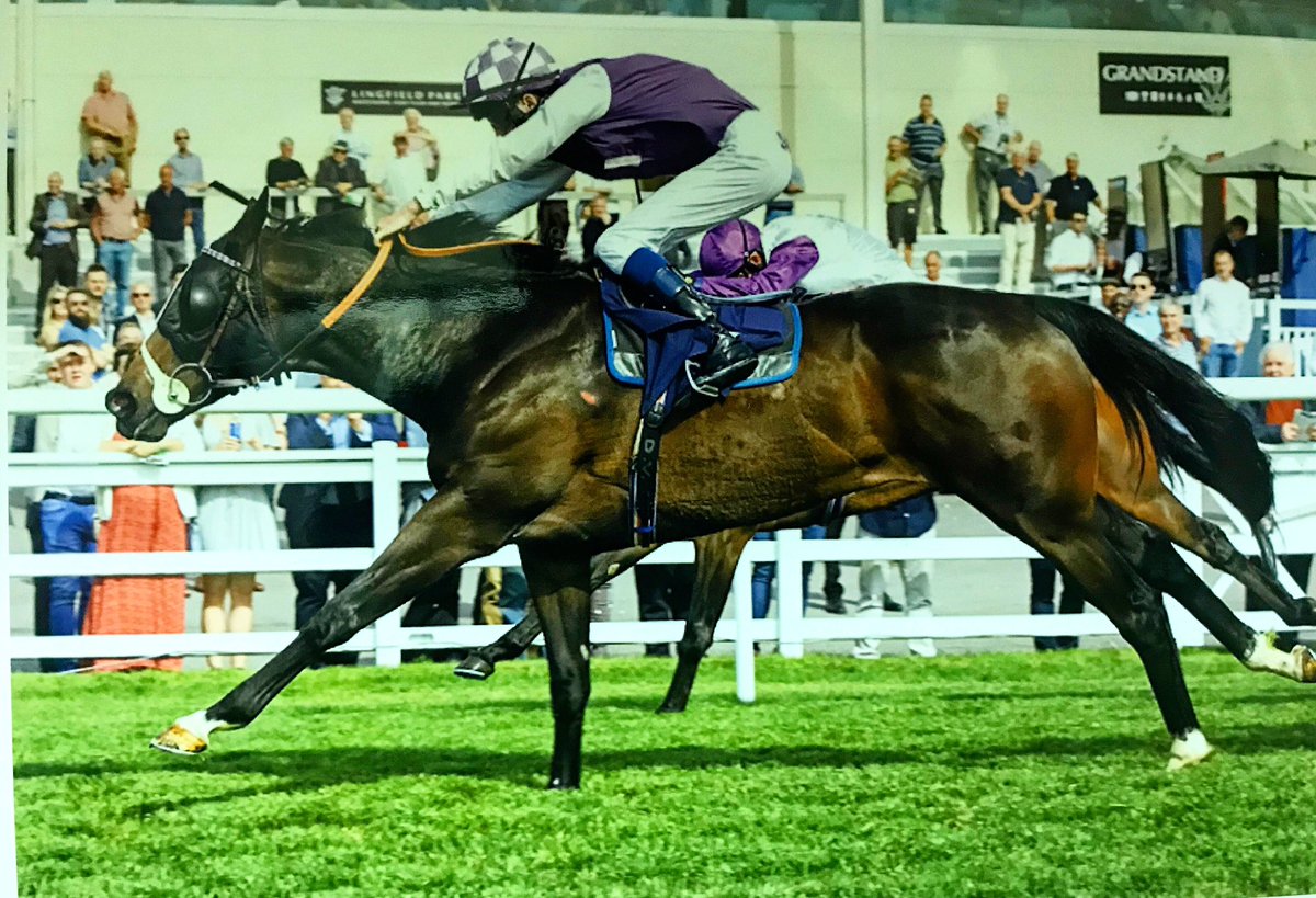 TonyCarsonRacing tweet media