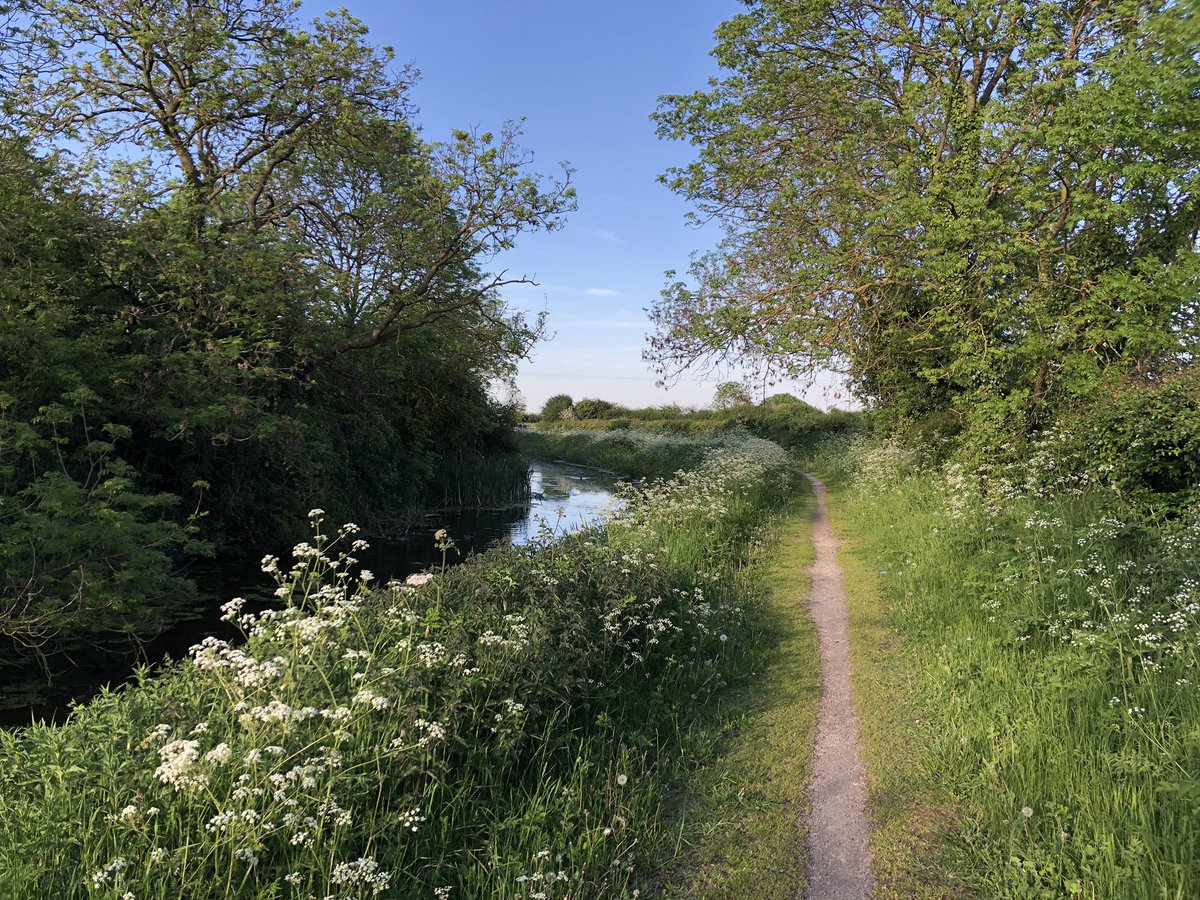 desoldham's tweet photo. Beauty of an evening for a 6 mile run along the Grantham canal... Cotgrave to Bridgford! Really don’t do this route enough... inspired by the change of scenery. Love a point to point!
#running #countrysiderun #runtothecity #justDOingit #justDOingwhatilove #DOrunning https://t.co/D42Lj2FkpF