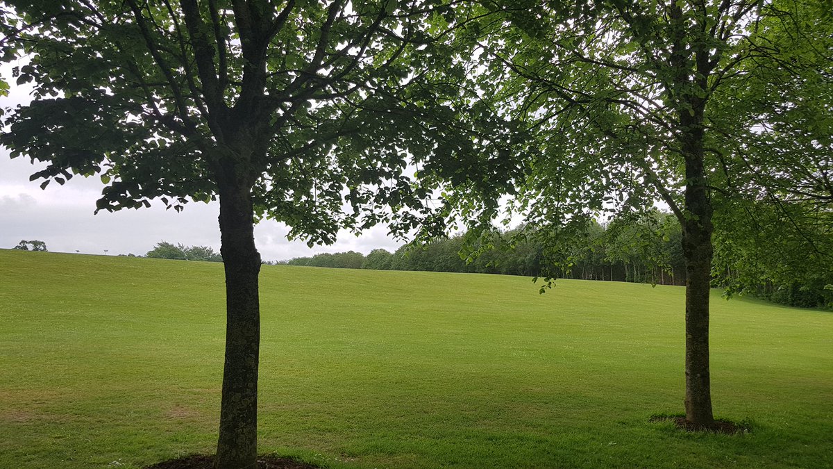 Wexican7187's tweet photo. @TadhgMacIntyre @conorlittle @UL Excellent #Mindscape2019 #Day1 Seminar
Well done @TadhgMacIntyre @AndreeWalkin & team - great discussions & connections at fab @UL Campus
Thanks for opportunity to share progress of @HealthyIreland #HealthyCounties & #HealthyCities https://t.co/xH4pfQjt4k