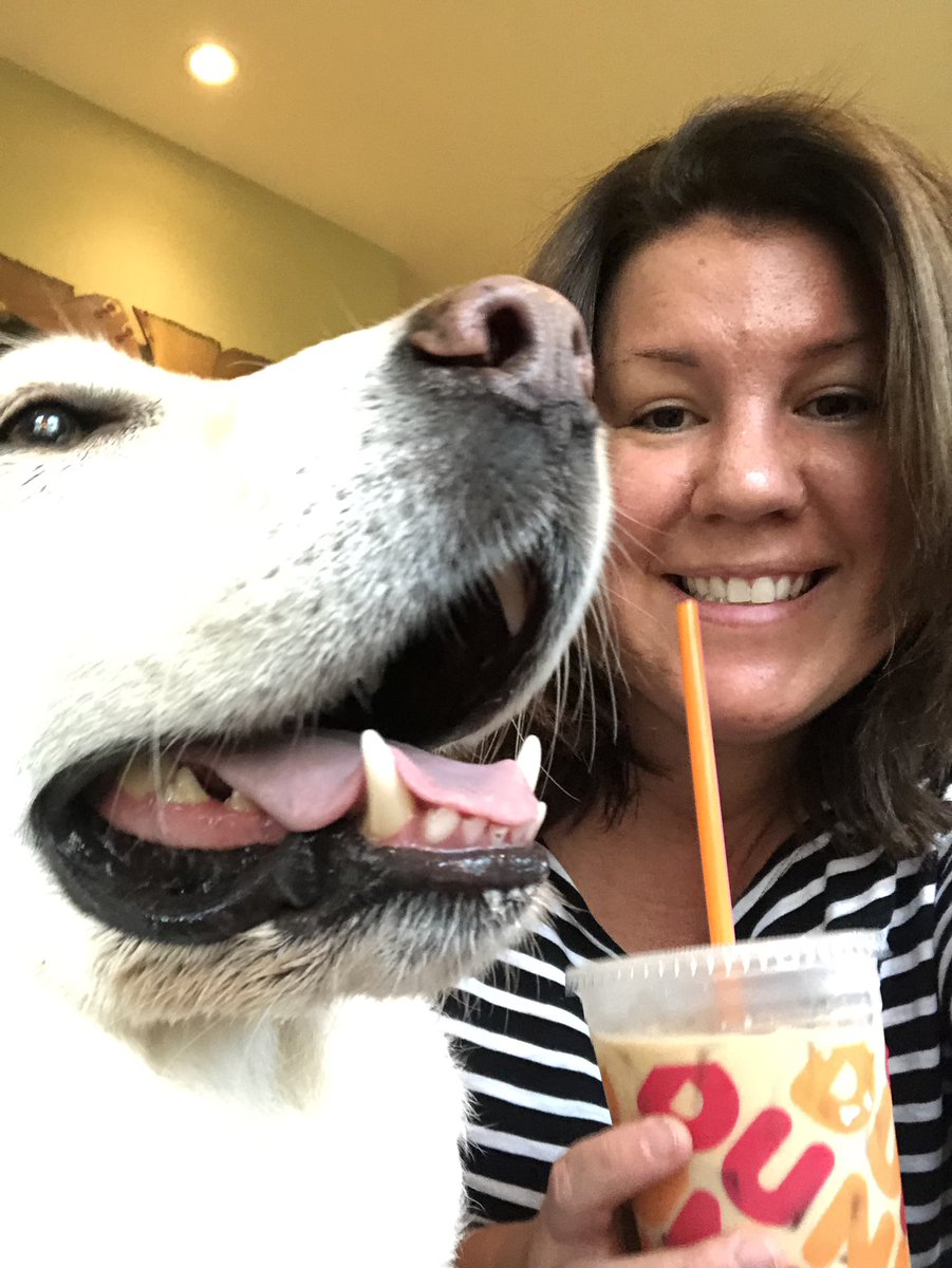 Travel Like a Local: MA tweet media