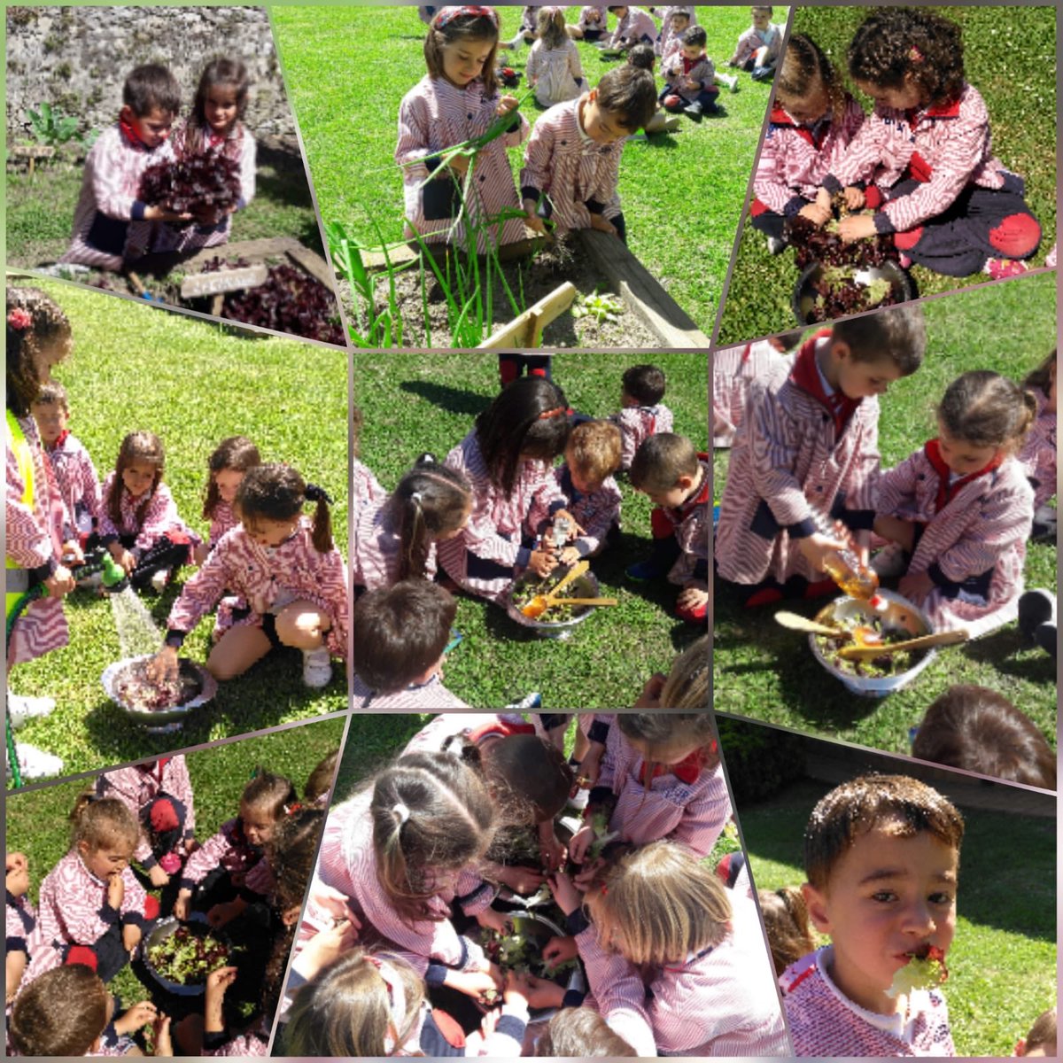 codemagijon's tweet photo. Nuestras parejas #TEI comparten momentos y hábitos saludables #ProyectoSalud Después del trabajo y cuidado en el huerto, disfrutan de ¡ricas ensaladas como recompensa!! 😋 https://t.co/cLrskY0Gr8