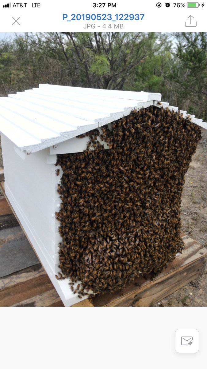 ListentoMsRuiz's tweet photo. @_LluviaGomez1 you’re bees don’t want to go in. https://t.co/io7Mcj7tah