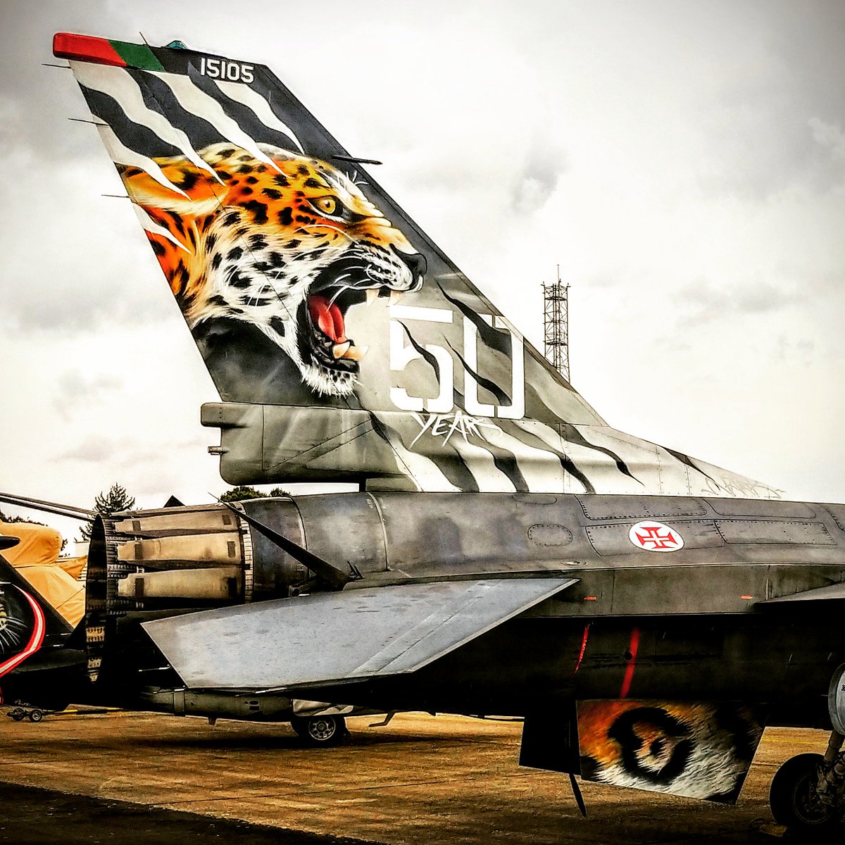 ironbirdphotos's tweet photo. The Jaguar roars louder once again in the Tigers' feast! Congratulations to the @fap_emfa 🇵🇹 @Esq301Jaguares winners of the @NatoTigers Silver Tiger trophy!
#f16 #avgeeks #jetfighters #NTM19 #militaryaviation #natotigermeet https://t.co/seOb9m32e0