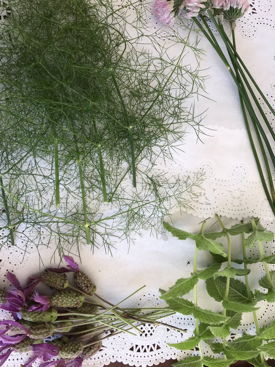 Awaken the senses - we are very blessed to have herb boxes in our Sandringham Garden - earlier we cut mint, lavender and eucalyptus 👃 🌿 because a Resident can’t make it to the Garden doesn’t mean they can’t take part @FourSeasonsHCUK  <a href="/PGreatbanks/">Patricia greatbanks</a> <a href="/Carolcousins3/">Carol Cousins</a> <a href="/samjbright/">Sam J Bright</a>