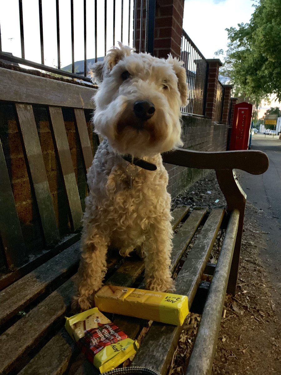 Bertie Lakeland tweet media