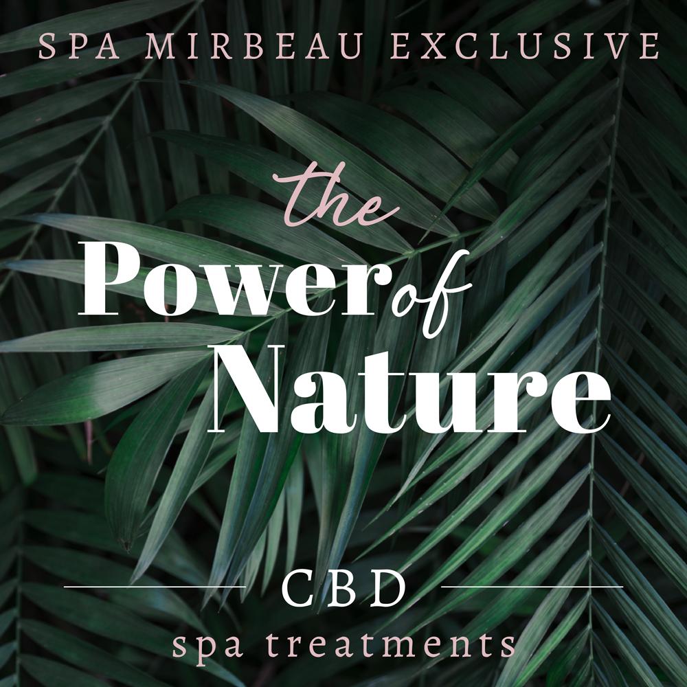 Mirbeau, Skaneateles tweet media