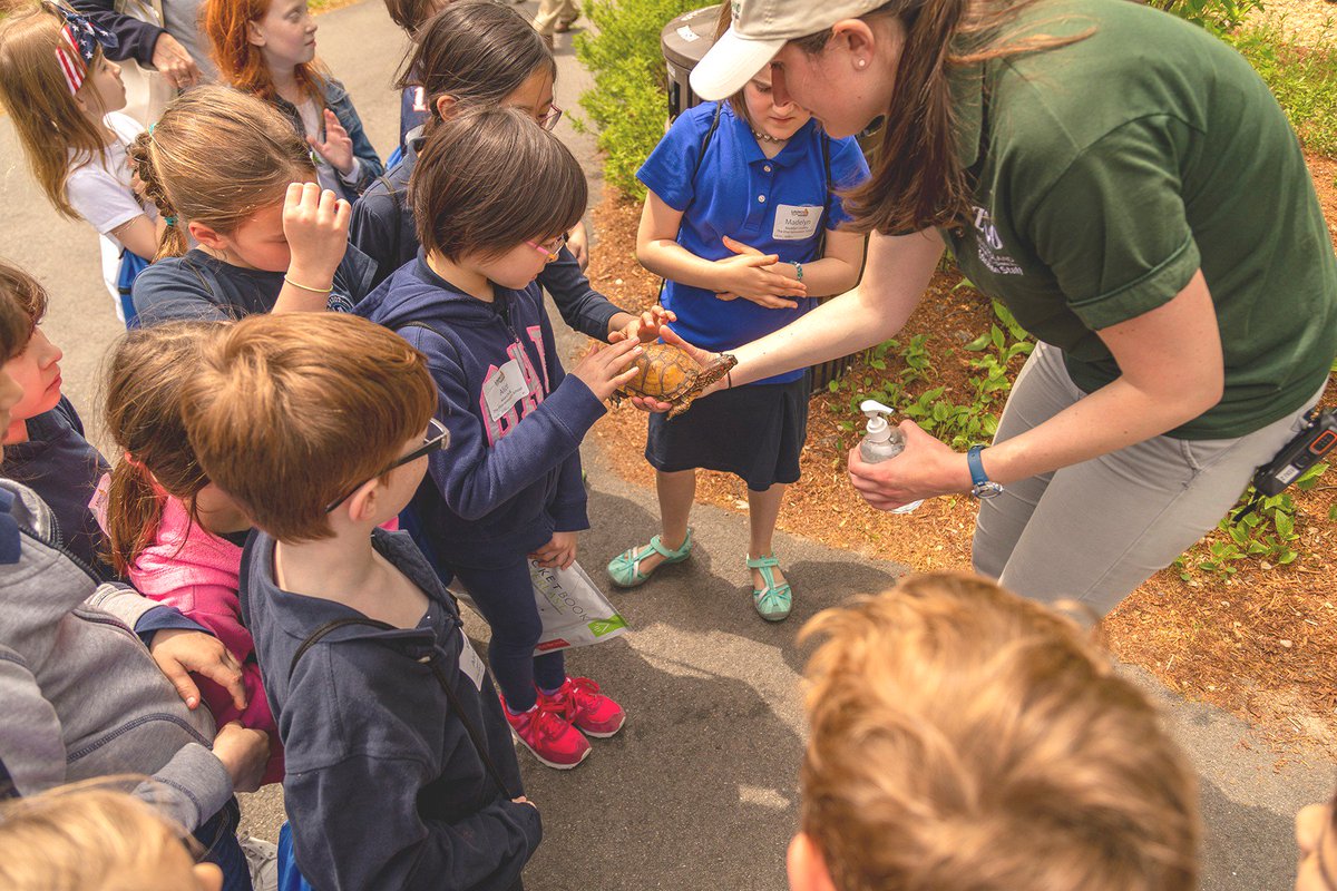 one8alhub's tweet photo. Students getting up close and personal with a turtle today @zoonewengland - connecting what they learned in their @PLTWorg Animal Adaptations class to real life!
#MSHShowcase @pltwma #PLTWLaunch #FPZoo https://t.co/AwxC4GlCKS