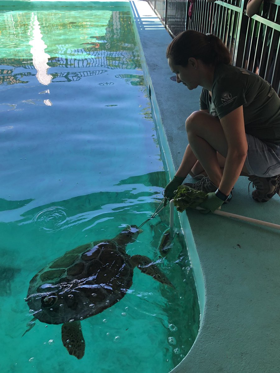 APKinggard's tweet photo. Great day at the Marine Environmental Educational Center for Coconut Palm Environmental Club! https://t.co/P3BbCmxINY