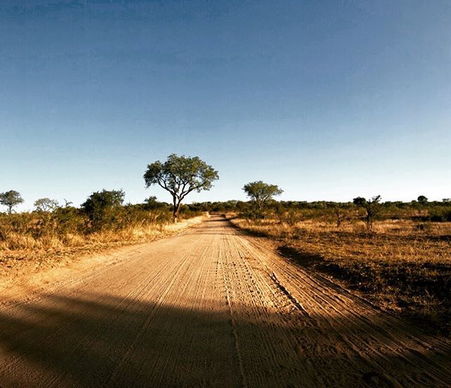 adv_4_beginners's tweet photo. Wild, open spaces... #adventuringforbeginners #bushlife #myhappyplace #wildsoul #knp #krugernationalpark #southafrica #iphonography https://t.co/lbauarxrd5 https://t.co/28SlKOKRU6