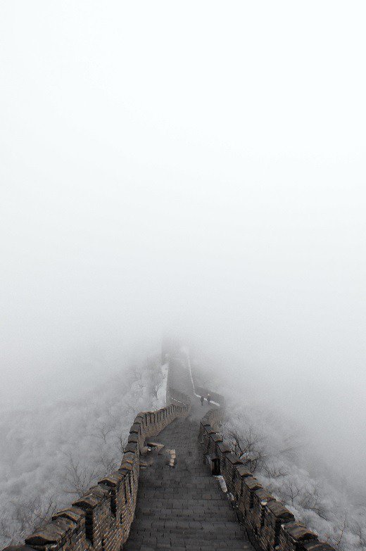 Archillect (@archillect) on Twitter photo 