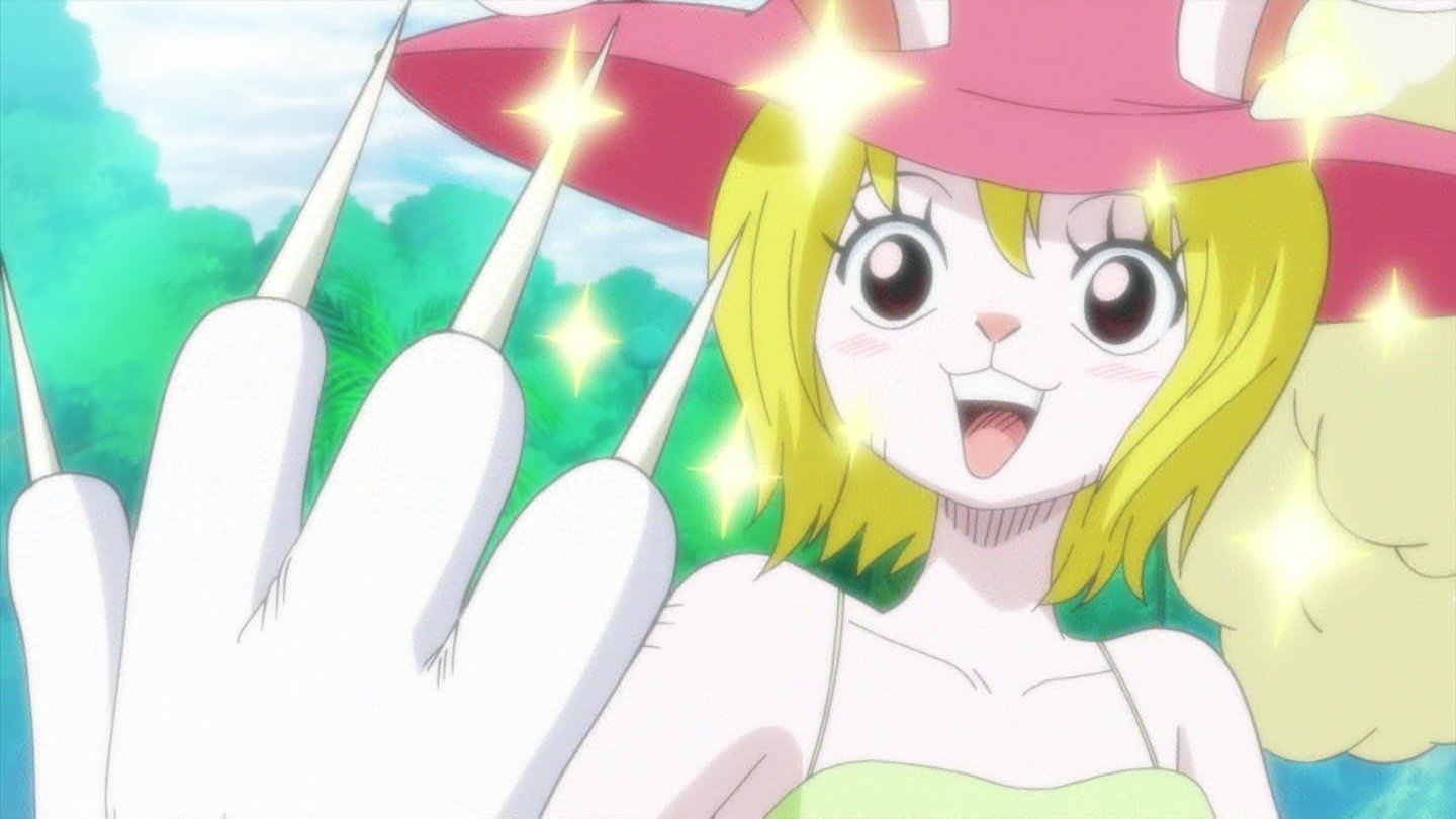 嘲笑のひよこ すすき Sur Twitter 本日5月24日は One Piece の犬嵐銃士隊 うさぎのミンク キャロットの誕生日 おめでとう Onepiece ワンピース キャロット生誕祭 キャロット生誕祭19 5月24日はキャロットの誕生日 T Co Lnc2irtdwf Twitter