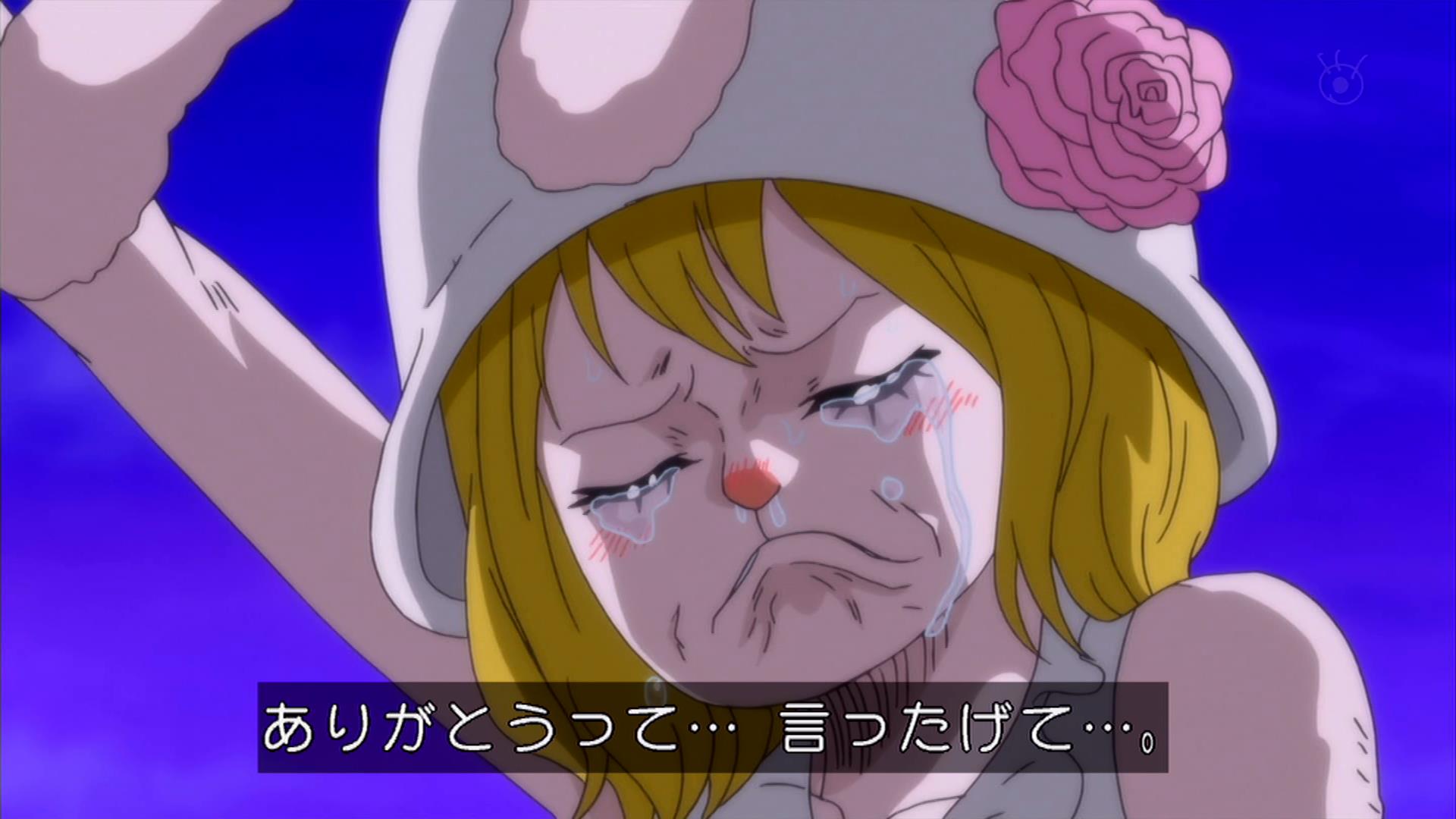 嘲笑のひよこ すすき Sur Twitter 本日5月24日は One Piece の犬嵐銃士隊 うさぎのミンク キャロットの誕生日 おめでとう Onepiece ワンピース キャロット生誕祭 キャロット生誕祭19 5月24日はキャロットの誕生日 T Co Lnc2irtdwf Twitter