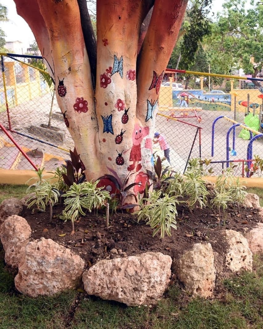 AlcaldiadeSDN's tweet photo. La Obra
Cuenta con un área de juegos infantiles diseñados para niños de 4 a 12 años, entre ellos  rueda giratoria, sube y baja, mecedora,  columpios y toboganes.

Además se restauró y remozó una amplia zona espacios recreativos, jardinerías  y glorietas para eventos familiares. https://t.co/ifaHpq46Mc