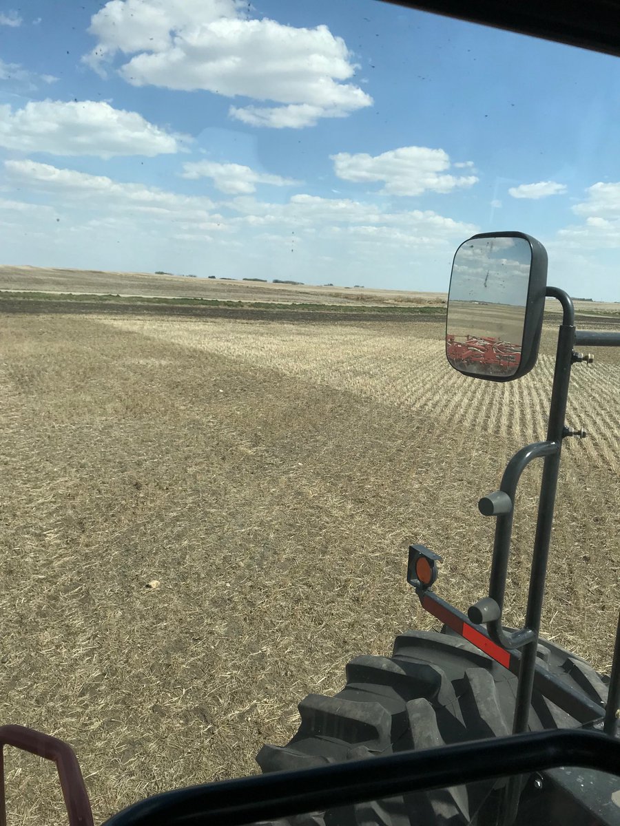 BrettHalstead's tweet image. That just about it for the Canola the rest of the seed can stay in the bags. #dought #plant19 #tradeissues