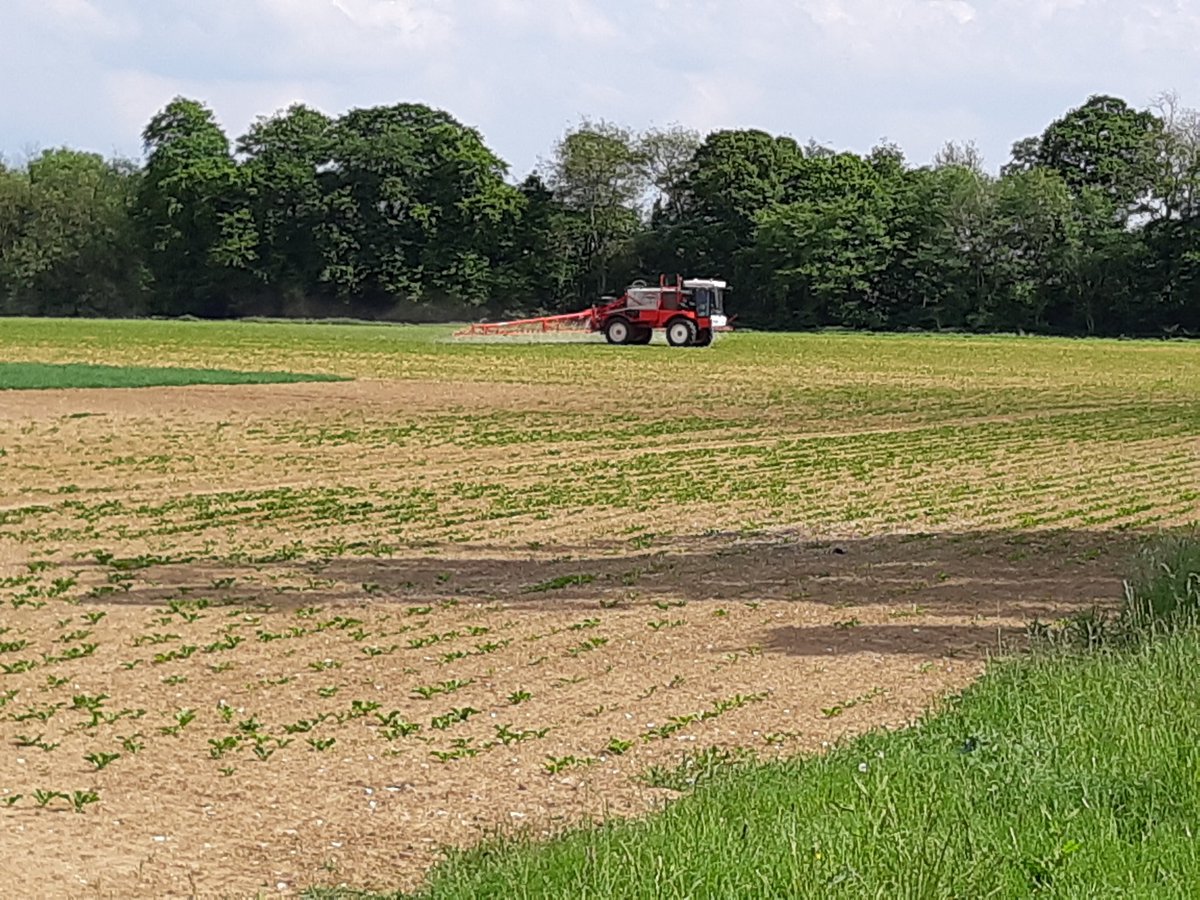 Spraying T2 at the @SyngentaCropsUK Rougham Innovation Centre today. <a href="/jwt1989/">James Thomas</a> &amp; the Syngenta Trials team doing application trials and @SimonEddell spraying his beet. 3 sprayers in 2 fields.... self propelled, trailed and mounted.