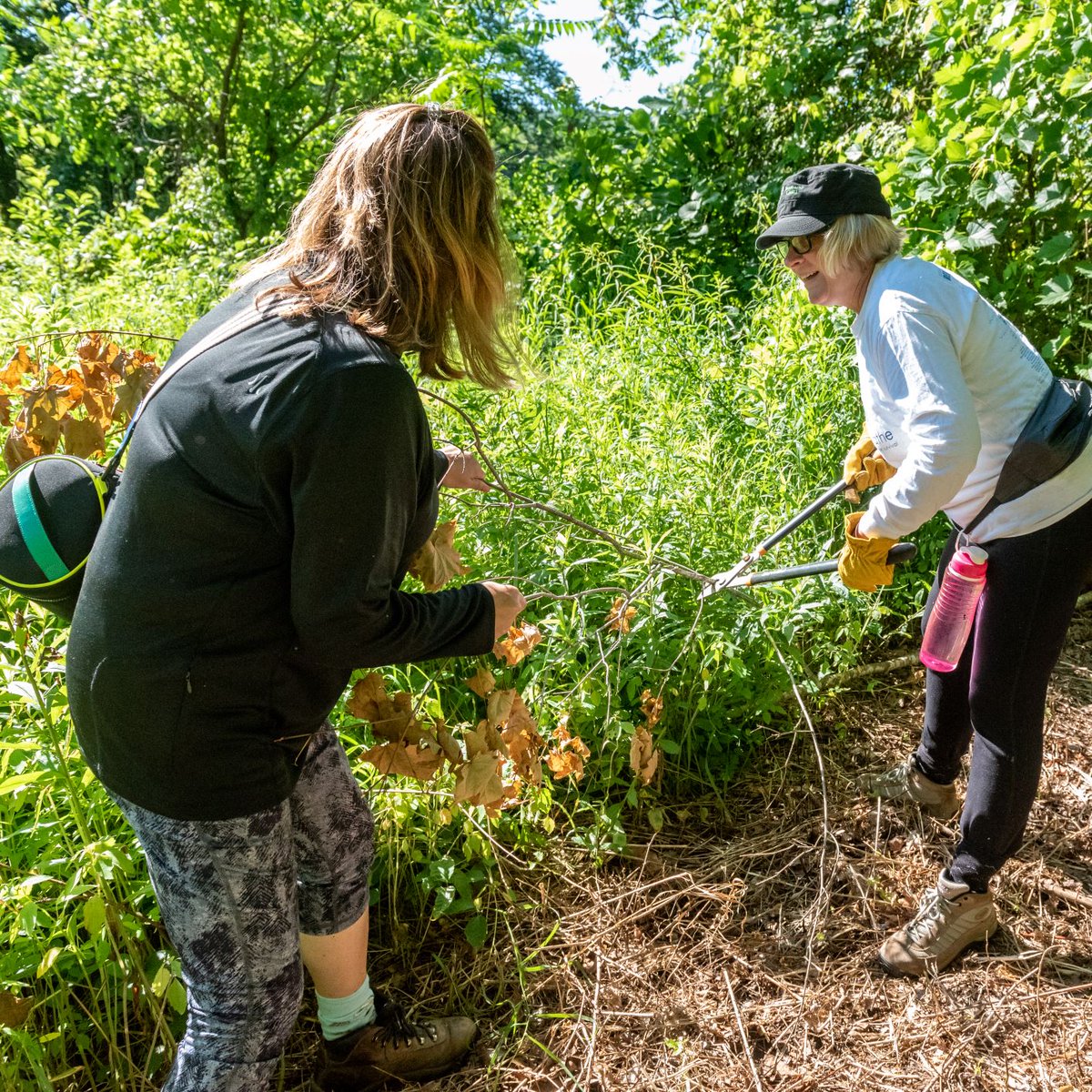 The Section 5 Trails are a hidden gem in Quechee and suitable for all ages! 

Plan your next adventure with us . . . perhaps with the Quechee Trails Club on June 1?
facebook.com/events/3749079…

#quecheelife #quecheetrails #section5