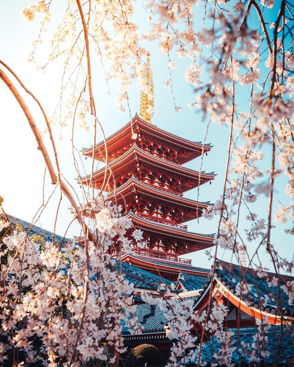 TFtrips's tweet image. Japan 🇯🇵