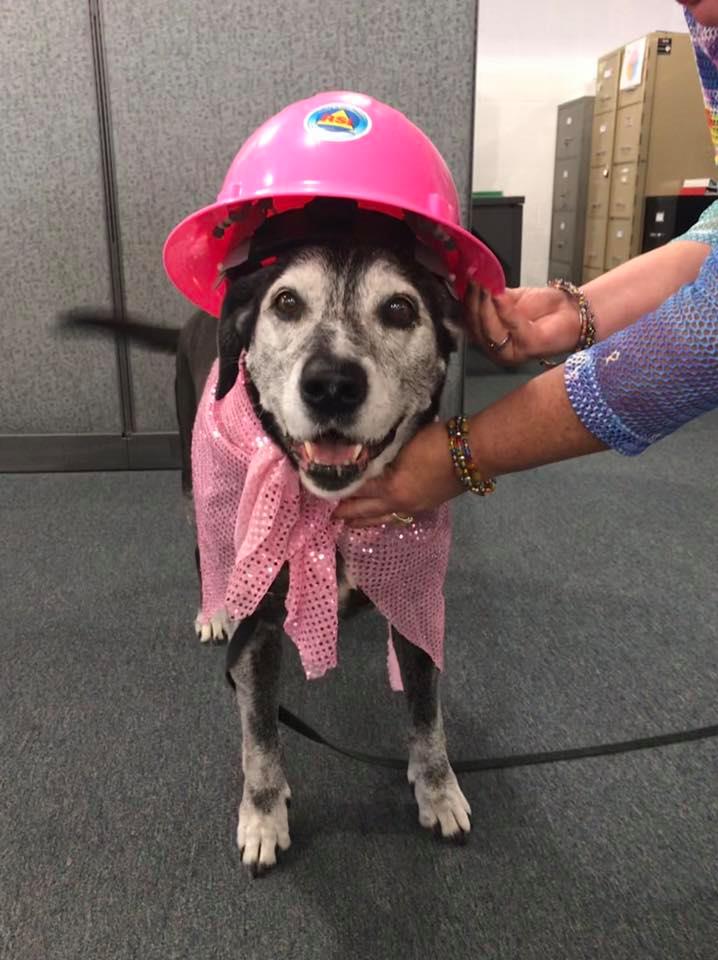 RSI Corp tweet media